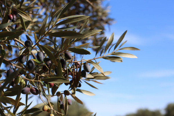 Bannière philosophie