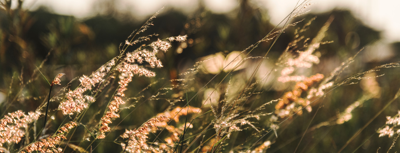 Bannière partenaires